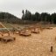 Outdoor-Fitnessgeräte Platform 90 aus Holz in einem Kiesbett, umgeben von Bäumen.