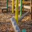 Holzspielgeräte im Herbstpark: Balancebalken und Kletterseile auf Laubbedecktem Boden.