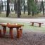 Tisch mit 4 Hocker Robinie aus Holz im Waldpark auf Spielplatz