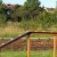 Hundeleiter mit Brücke in natürlichem Umfeld für Tiertrainings.