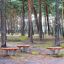 Holz Balance Spielplatzgerät mit Federn im Wald zur Gleichgewichtsschulung.