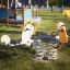 Walrosse Federwippe für Kinder auf einem Spielplatz.