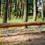 Holz-Wippe Balance im Waldspielplatz