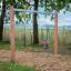 Doppel Schaukel Robinie auf einem Spielplatz im Herbst