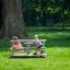 Kinder spielen auf einem Karussell im Park.