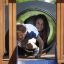 Kinder spielen auf Tarzan Klettergerüst mit Tunnel auf einem Spielplatz.