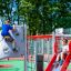 Kinder spielen auf Wal Klettergerüst mit Kletterwand und Rutsche im Park.