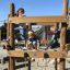 Kinder spielen auf einem Sherwood Klettergerüst aus Holz im Freien.