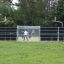 Multisport-Anlage Stamford Bridge mit Personen beim Spiel auf einem grünen Feld