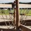Holz-Wackelbrücke Kongo auf Spielplatz in natürlicher Umgebung.