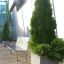 Blumentopf Rosaly neben einer modernen Bank und Glasfassade, urbanes Gartendesign.