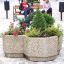 Blumentopf Alex mit verschiedenen Pflanzen und Blumen auf einem öffentlichen Platz.