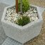 Blumentopf Alex aus Beton mit vielseitigem Design, bepflanzt mit kleinem Baum und Büschen.