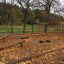 Lianen Klettergerüst im Herbstpark mit Laubbedecktem Boden