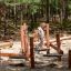 Sahara Trimm-dich-Pfad Balancierparcours aus Holz auf Spielplatz im Wald