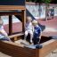 Kinder spielen in einem Spielhaus mit Rutsche auf einem Spielplatz.