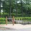 Hängematte Robinie in einem ruhigen Park mit Brücke und Bäumen.