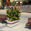 Geneva IV Blumentopf mit großen grünen Pflanzen auf öffentlichem Platz.