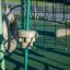 Detailansicht der Kletterwand und Strickleiter von Sirius Kletteranlage auf einem Spielplatz.